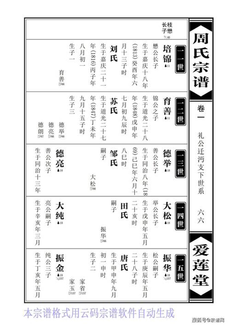 家谱软件：记录家族记忆的新时代工具