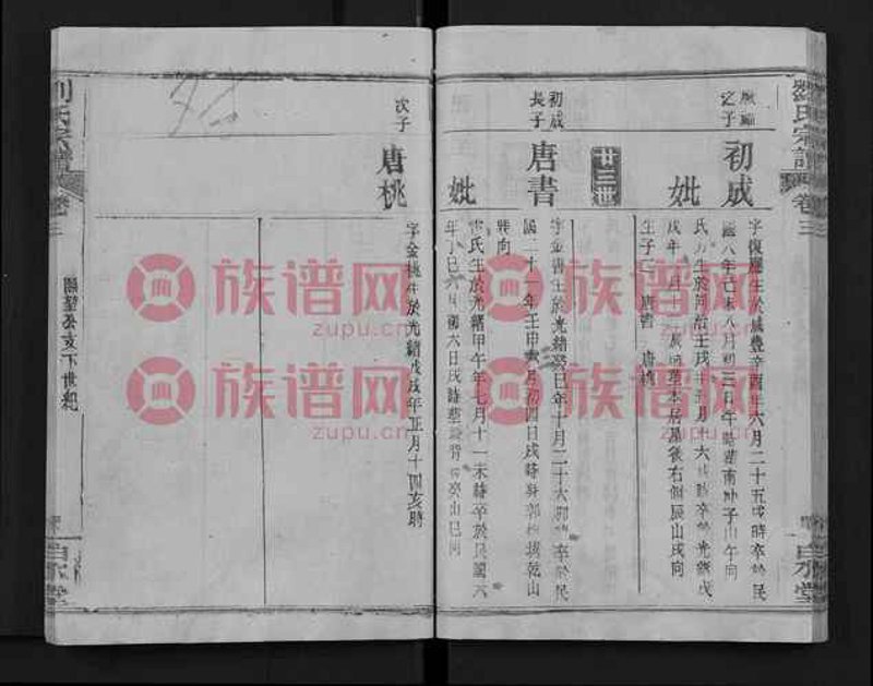 数字化家谱：开启您的家庭记忆之旅