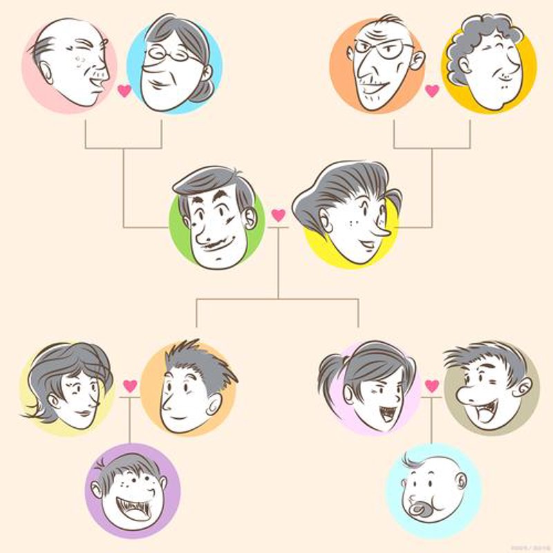 探索家族历史的魅力：家谱软件引领记录潮流