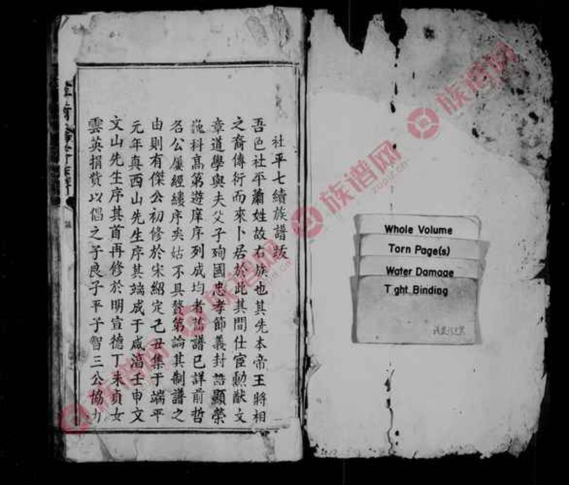 族谱制作：记录家族故事的艺术